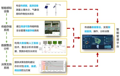 减污降碳 精准水肥管理与数字监控系统助力横沙负碳岛建设
